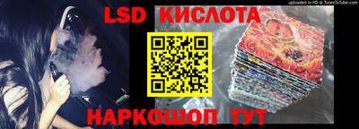 гидра Славгород