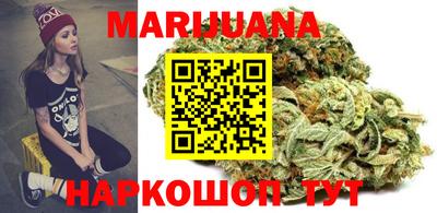 гидра Славгород