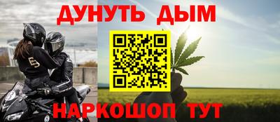 гидра Славгород