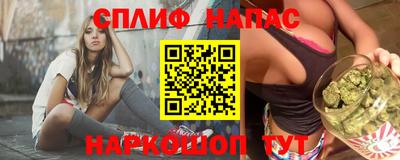 гидра Славгород