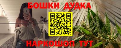 гидра Славгород