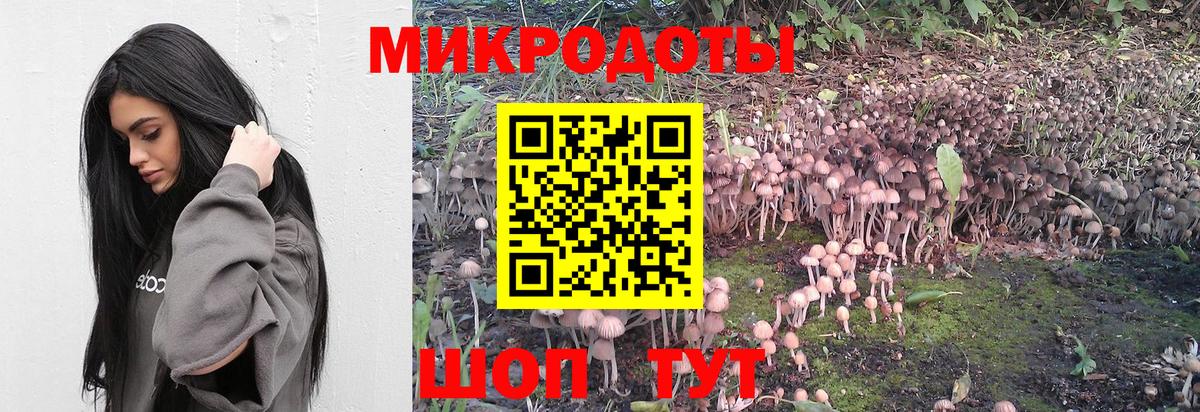дарнет шоп  Галлюциногенные грибы Cubensis  Вход с VPN  Кудымкар 
